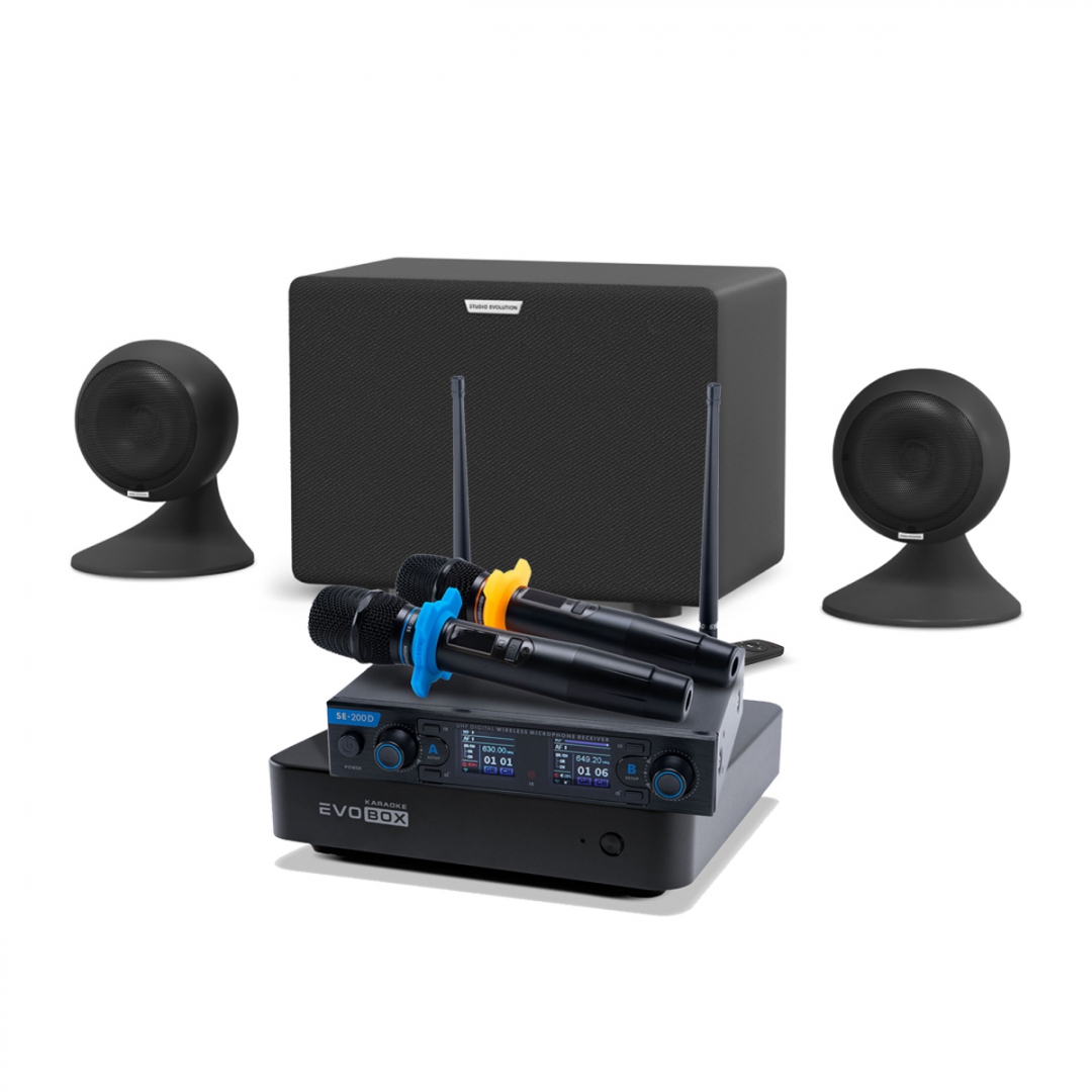 караоке-комплект EVOBOX + EvoSound Sphere 2.1 в Воронеже
