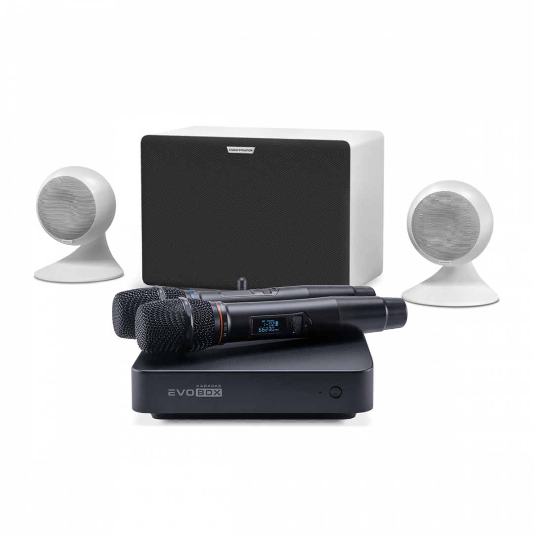 караоке-комплект EVOBOX Classic + EvoSound Sphere 2.1 в Воронеже