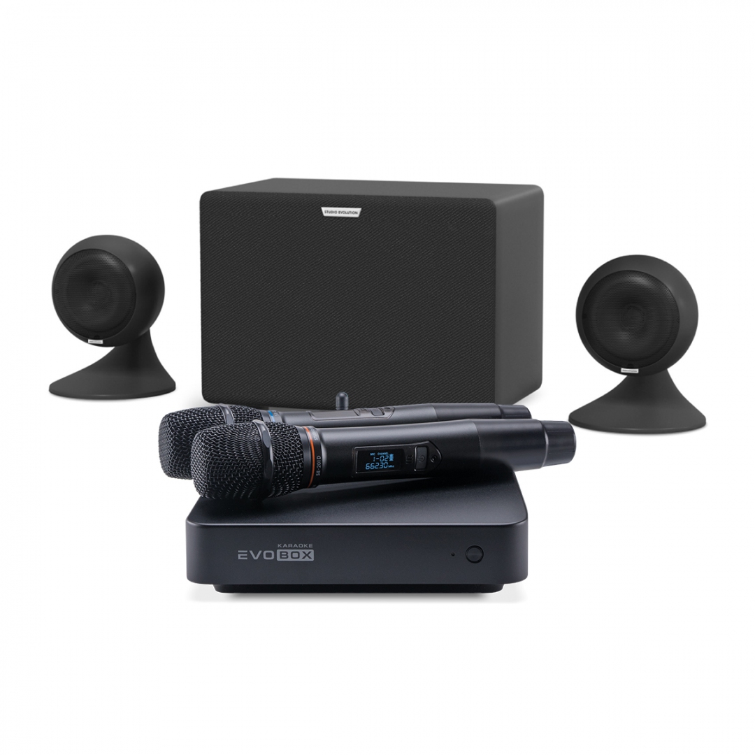 караоке-комплект EVOBOX Plus + EvoSound Sphere 2.1 в Воронеже