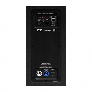 Активная акустическая система AST-310A в Воронеже