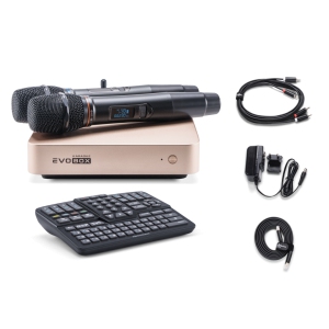 EVOBOX Classic караоке-система для дома в Воронеже