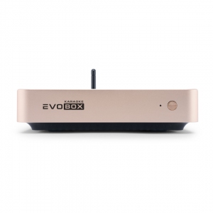 EVOBOX Plus караоке-система для дома в Воронеже