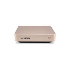 EVOBOX с микрофонами в Воронеже