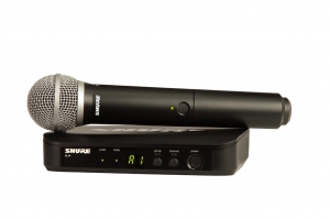 SHURE BLX24E/PG58 M17 вокальная радиосистема в Воронеже